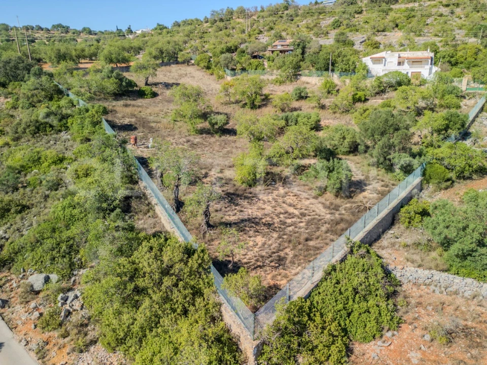 Terreno Agricola ou Rústico para Venda em Loule (São Sebastião) Foto 16