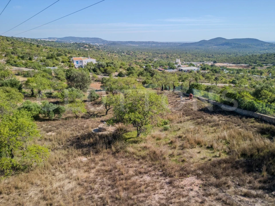 Terreno Agricola ou Rústico para Venda em Loule (São Sebastião) Foto 17