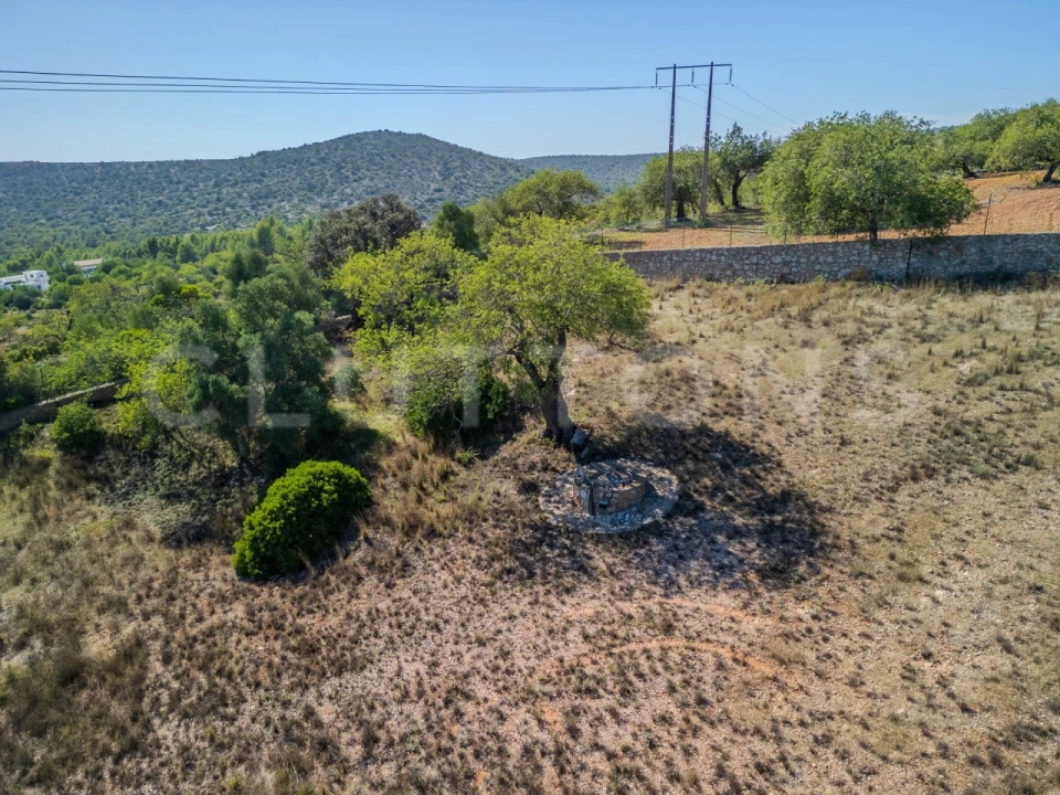 Terreno Agricola ou Rústico para Venda em Loule (São Sebastião) Foto 19