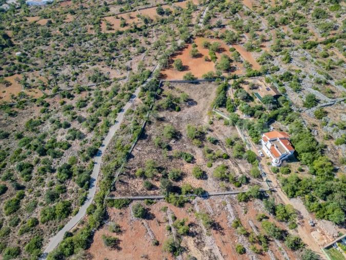 Terreno Agricola ou Rústico para Venda em Loule (São Sebastião) Foto 13