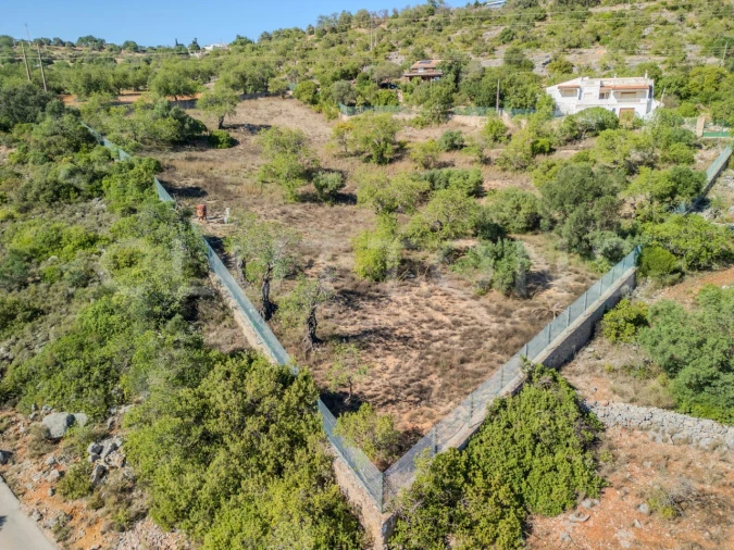 Terreno Agricola ou Rústico para Venda em Loule (São Sebastião) Foto 16