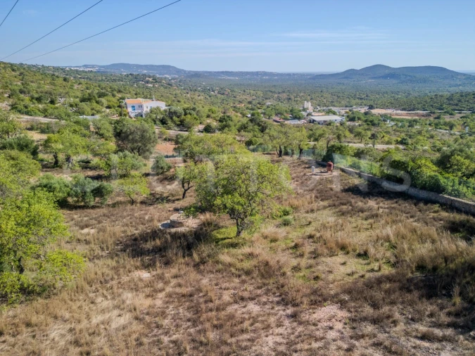 Terreno Agricola ou Rústico para Venda em Loule (São Sebastião) Foto 17