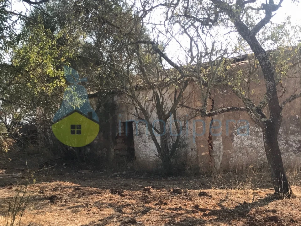 Terreno Misto para Venda em Algoz e Tunes Foto 7