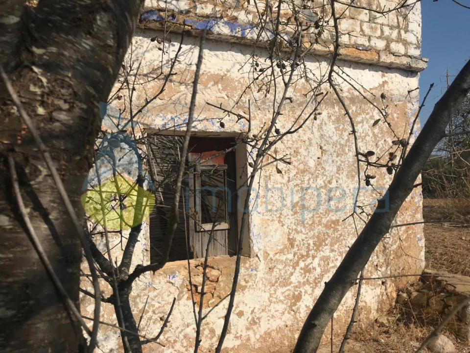 Terreno Misto para Venda em Algoz e Tunes Foto 13