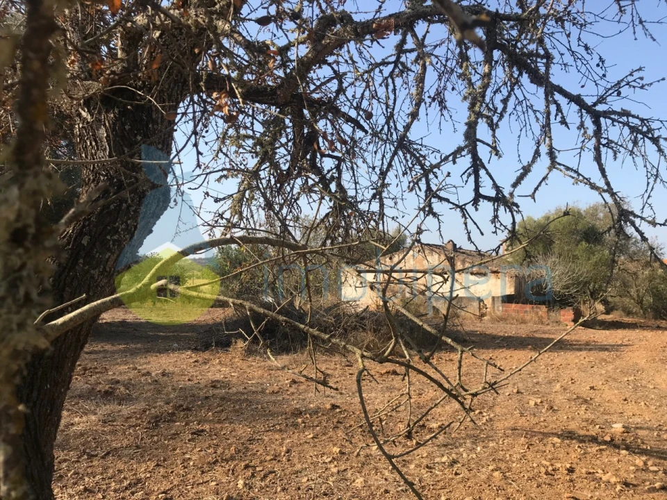 Terreno Misto para Venda em Algoz e Tunes Foto 1