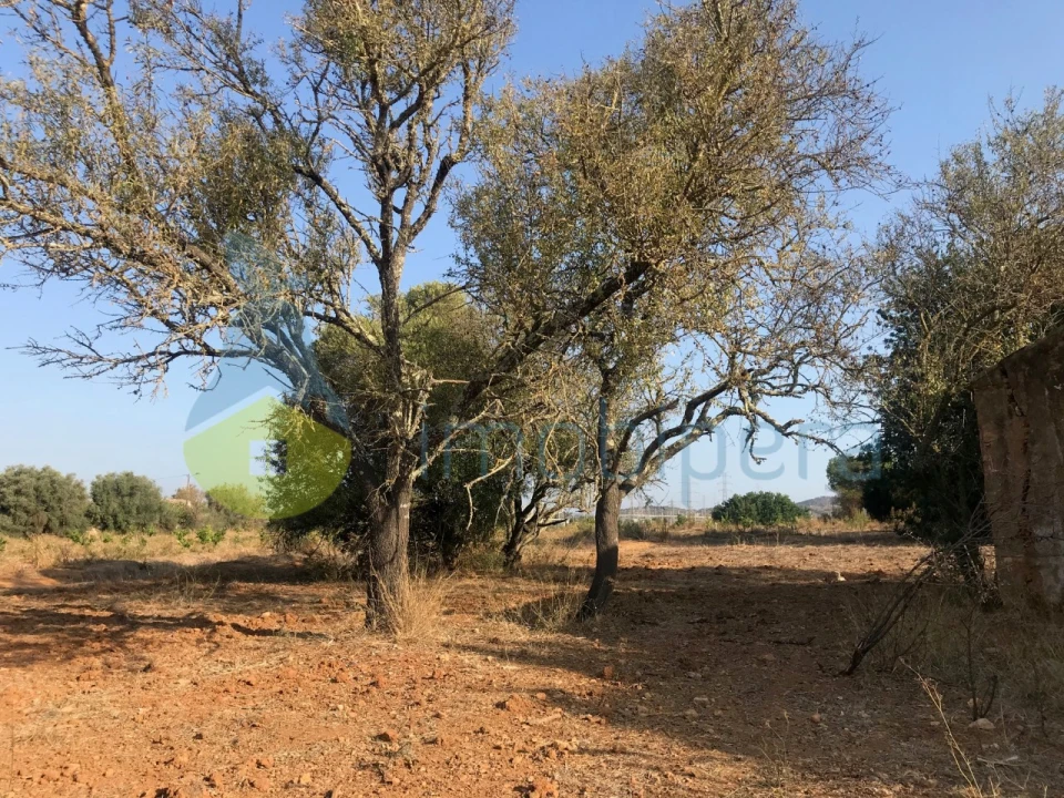 Terreno Misto para Venda em Algoz e Tunes Foto 16