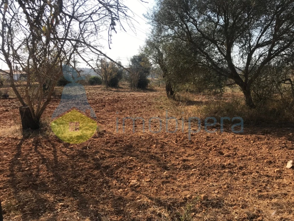 Terreno Misto para Venda em Algoz e Tunes Foto 24