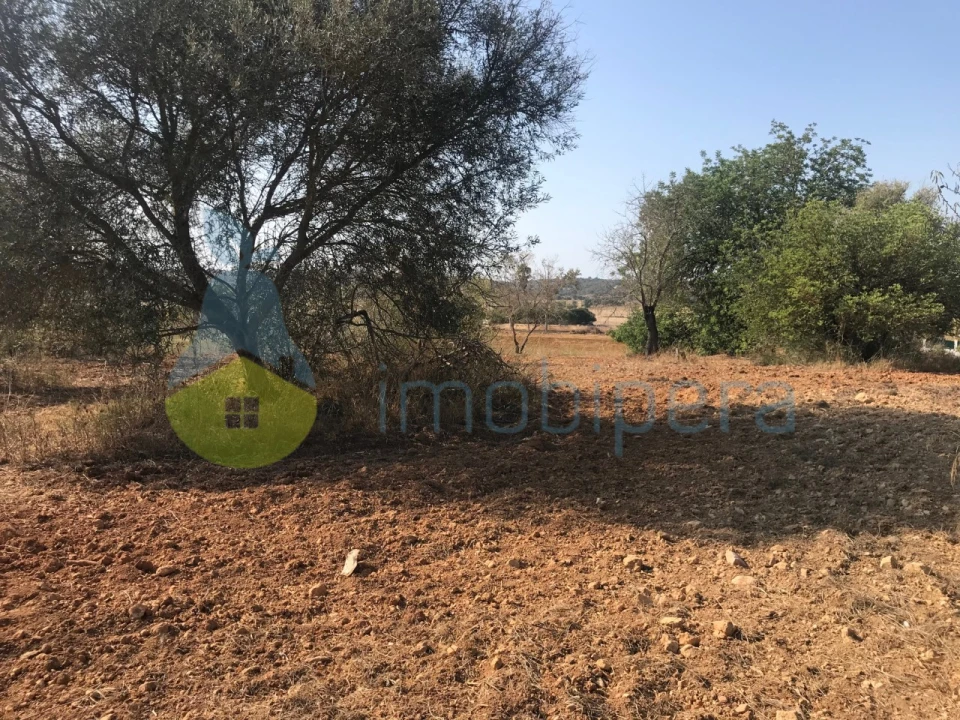 Terreno Misto para Venda em Algoz e Tunes Foto 25