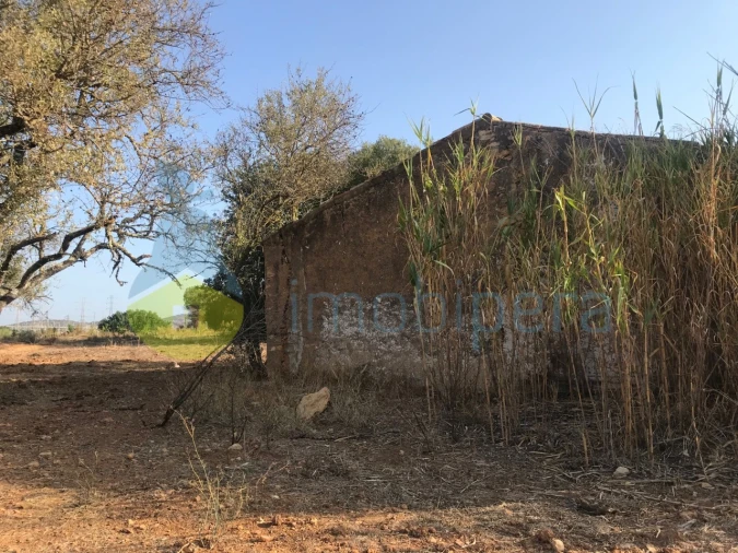 Terreno Misto para Venda em Algoz e Tunes Foto 8