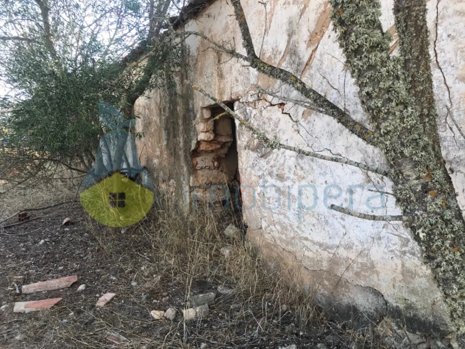 Terreno Misto para Venda em Algoz e Tunes Foto 10