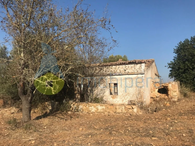 Terreno Misto para Venda em Algoz e Tunes Foto 13