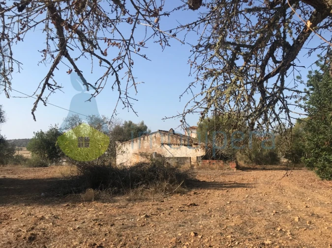 Terreno Misto para Venda em Algoz e Tunes Foto 22