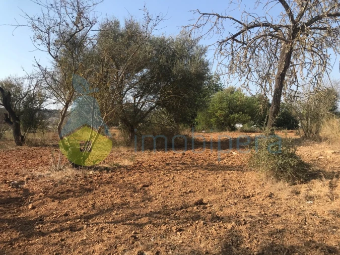 Terreno Misto para Venda em Algoz e Tunes Foto 26