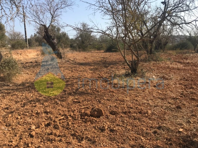 Terreno Misto para Venda em Algoz e Tunes Foto 28