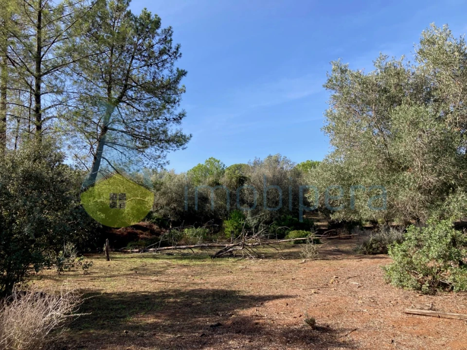Terreno Agricola ou Rústico para Venda em Paderne Foto 1