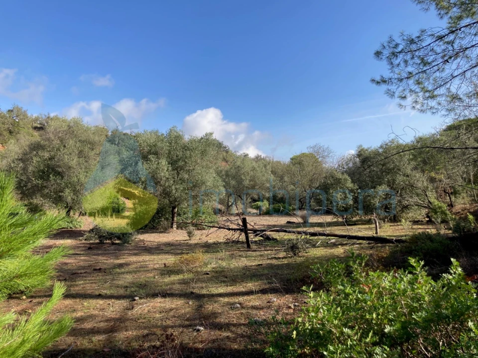 Terreno Agricola ou Rústico para Venda em Paderne Foto 4