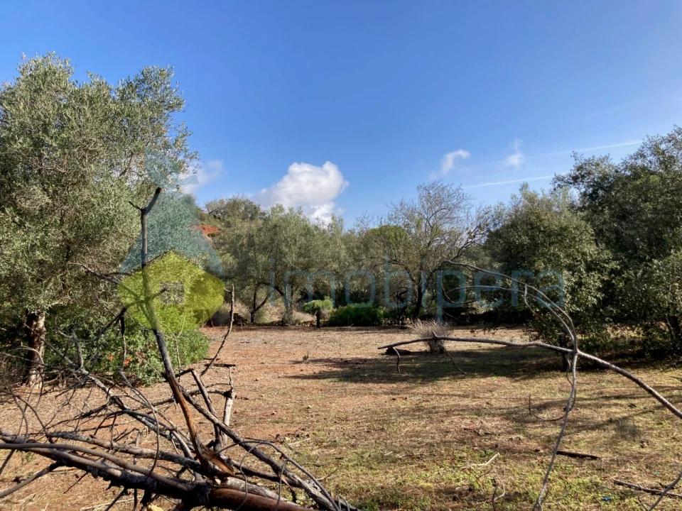 Terreno Agricola ou Rústico para Venda em Paderne Foto 5