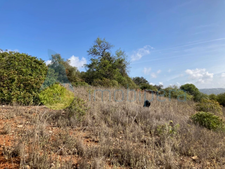 Terreno Agricola ou Rústico para Venda em Paderne Foto 6