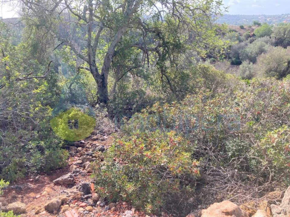 Terreno Agricola ou Rústico para Venda em Paderne Foto 8