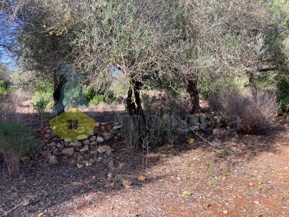 Terreno Agricola ou Rústico para Venda em Paderne Foto 9