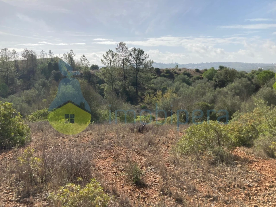 Terreno Agricola ou Rústico para Venda em Paderne Foto 10