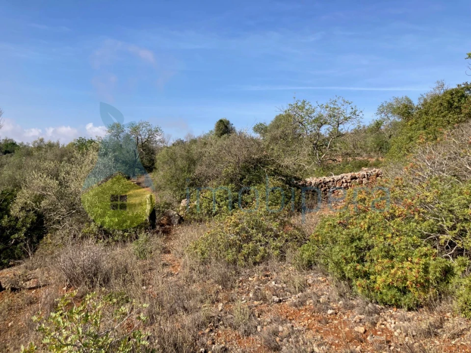 Terreno Agricola ou Rústico para Venda em Paderne Foto 11