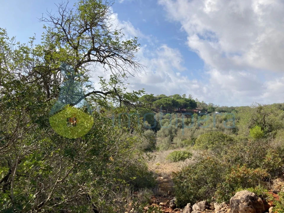 Terreno Agricola ou Rústico para Venda em Paderne Foto 12