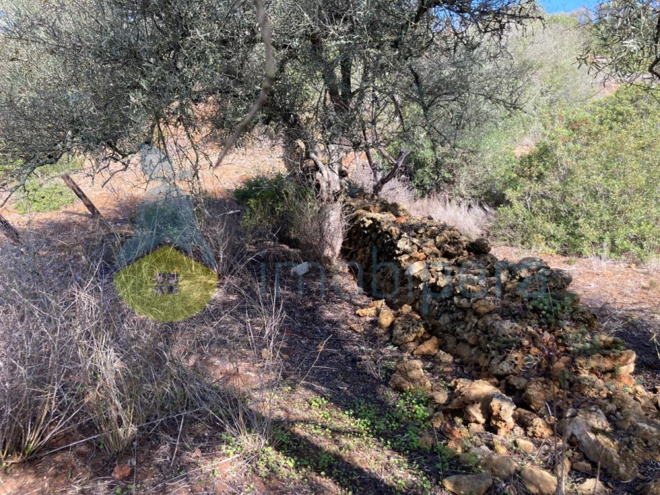 Terreno Agricola ou Rústico para Venda em Paderne Foto 14