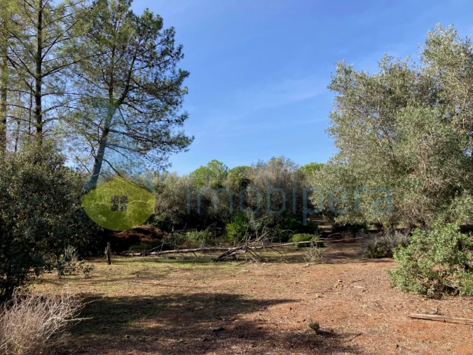 Terreno Agricola ou Rústico para Venda em Paderne