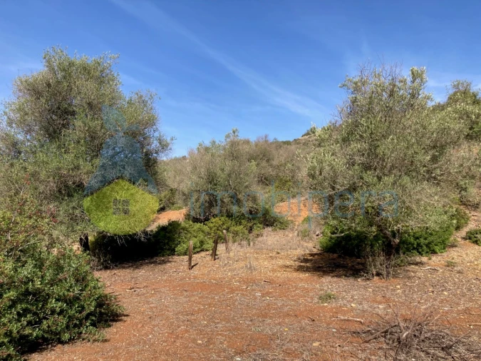 Terreno Agricola ou Rústico para Venda em Paderne Foto 2