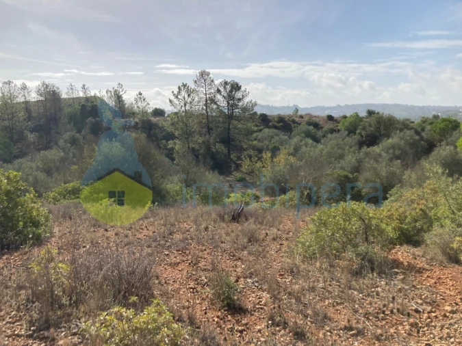 Terreno Agricola ou Rústico para Venda em Paderne Foto 9
