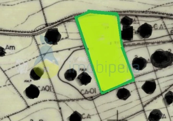 Terreno Agricola ou Rústico para Venda em Paderne Foto 12