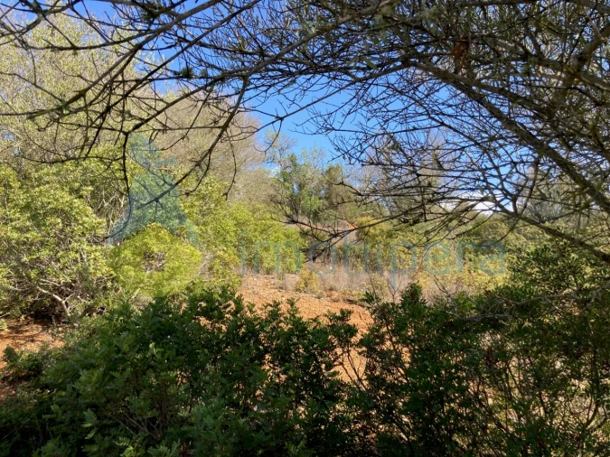 Terreno Agricola ou Rústico para Venda em Paderne Foto 13