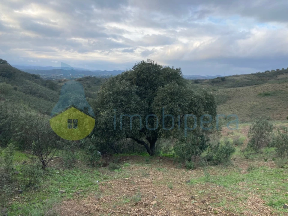 Terreno Agricola ou Rústico para Venda em São Bartolomeu de Messines Foto 1