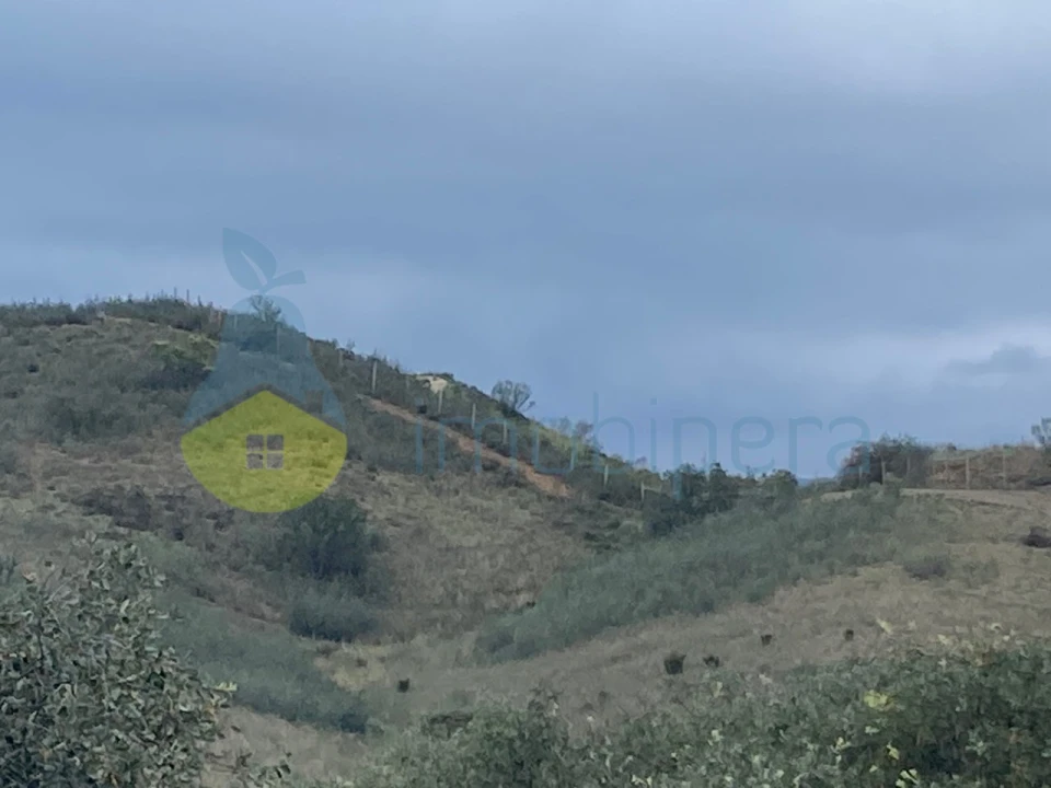 Terreno Agricola ou Rústico para Venda em São Bartolomeu de Messines Foto 6