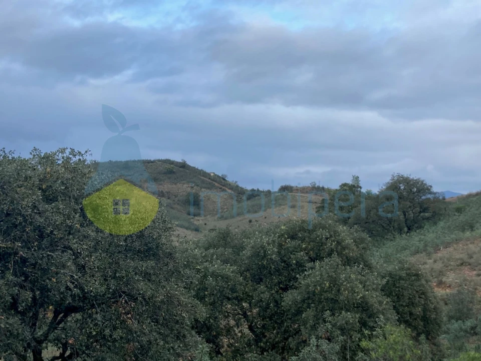 Terreno Agricola ou Rústico para Venda em São Bartolomeu de Messines Foto 7
