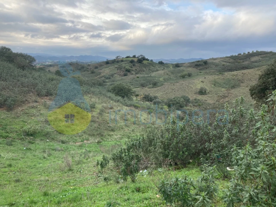 Terreno Agricola ou Rústico para Venda em São Bartolomeu de Messines Foto 9