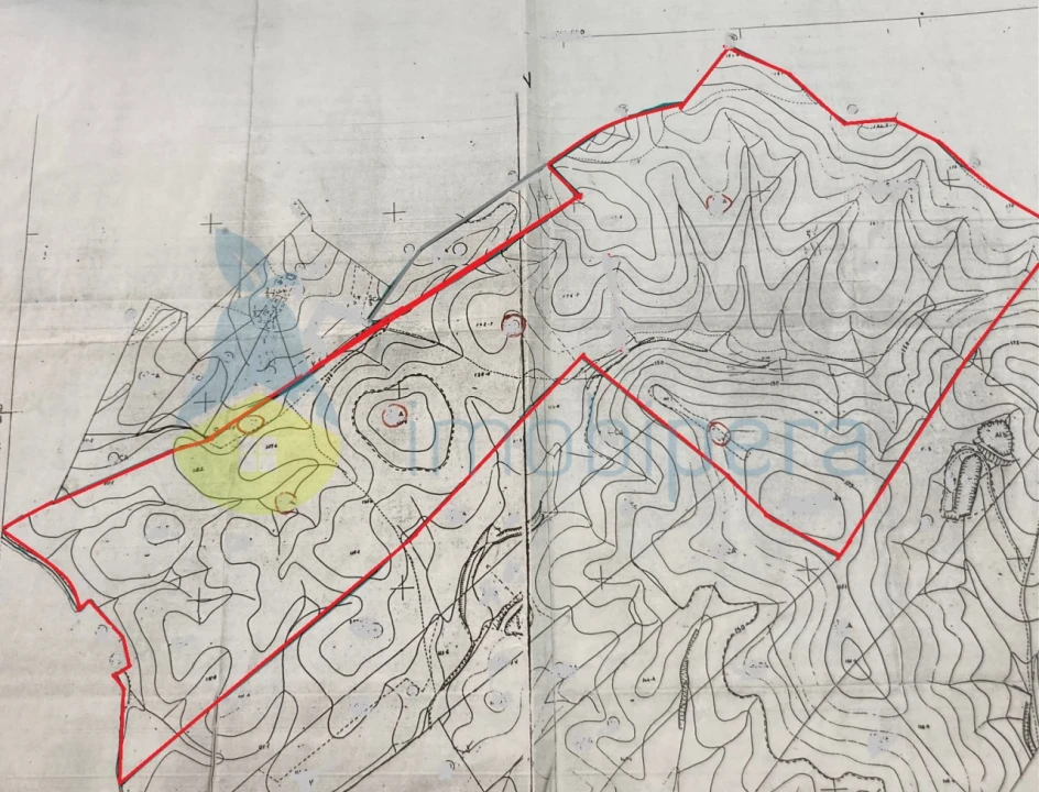 Terreno Agricola ou Rústico para Venda em São Bartolomeu de Messines Foto 11
