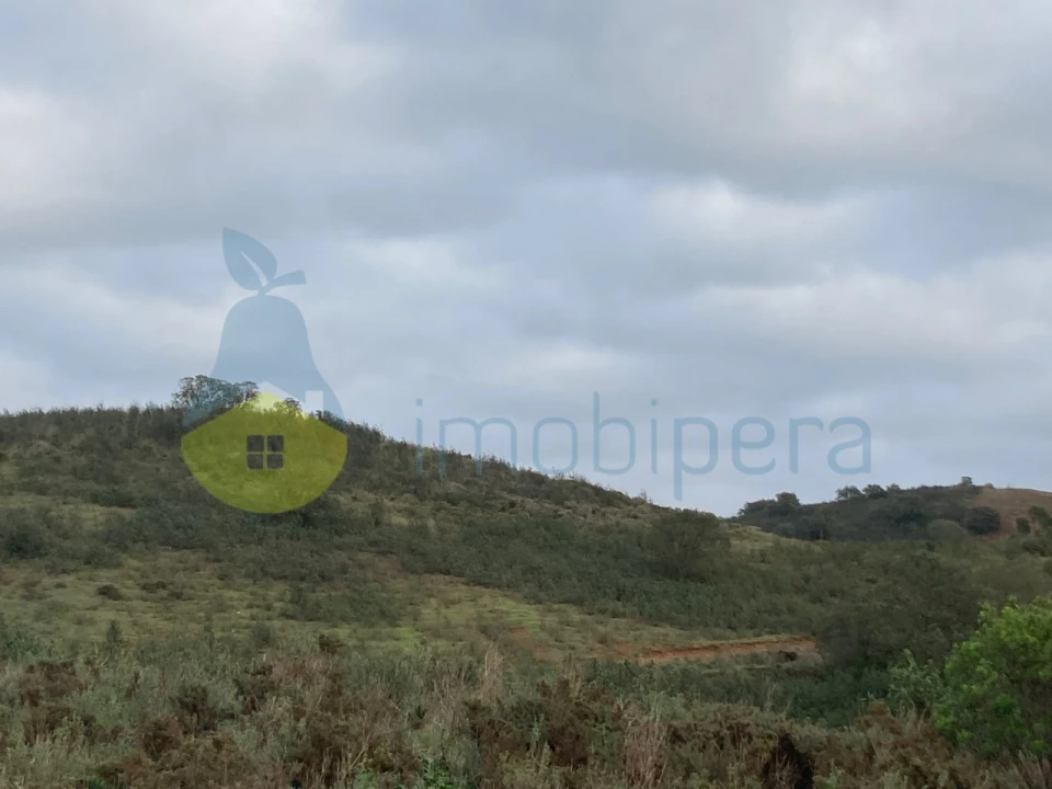 Terreno Agricola ou Rústico para Venda em São Bartolomeu de Messines Foto 20