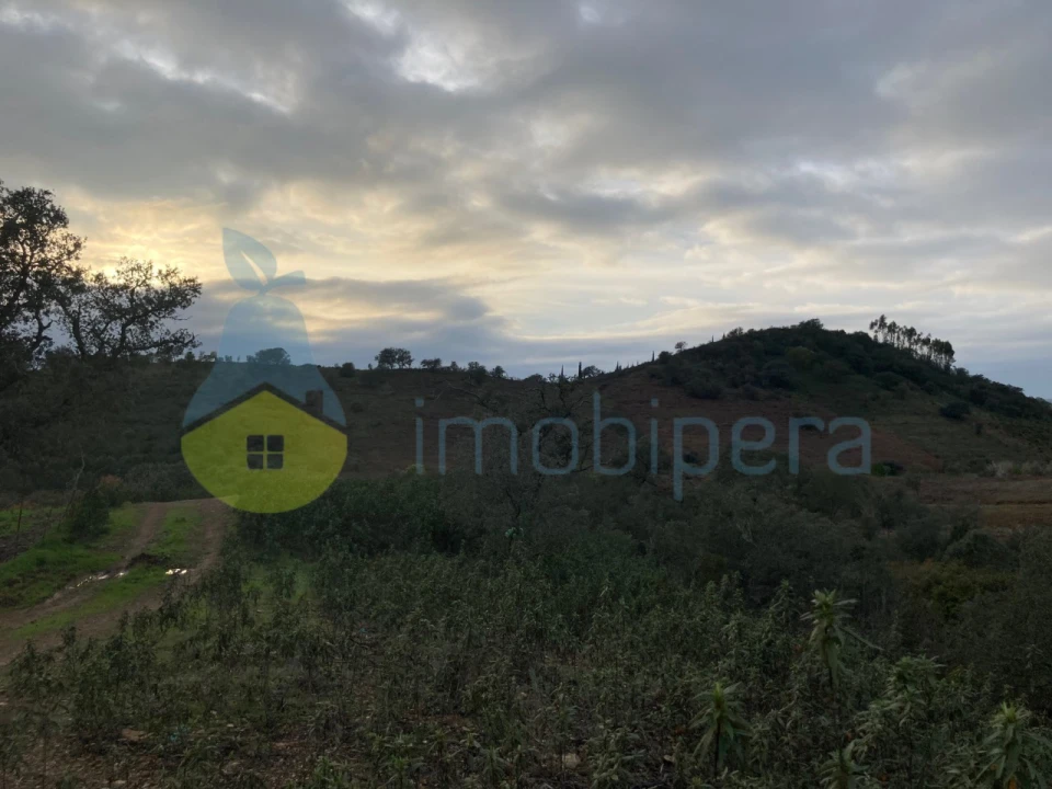 Terreno Agricola ou Rústico para Venda em São Bartolomeu de Messines Foto 21