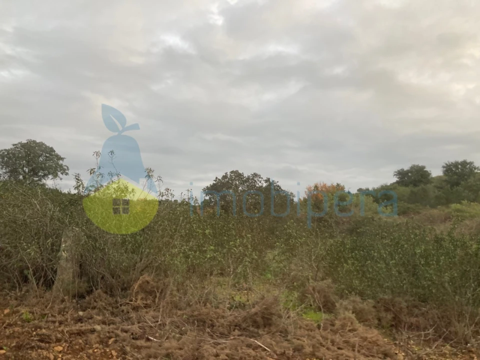 Terreno Agricola ou Rústico para Venda em São Bartolomeu de Messines Foto 24