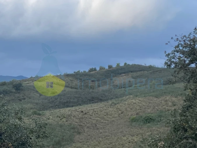 Terreno Agricola ou Rústico para Venda em São Bartolomeu de Messines Foto 3