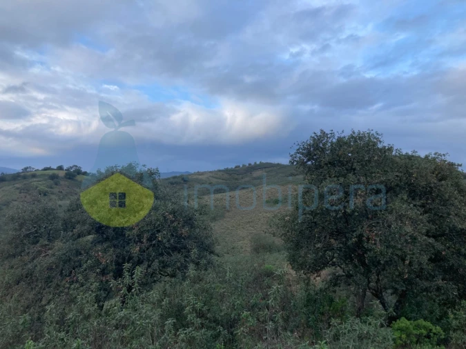 Terreno Agricola ou Rústico para Venda em São Bartolomeu de Messines Foto 4