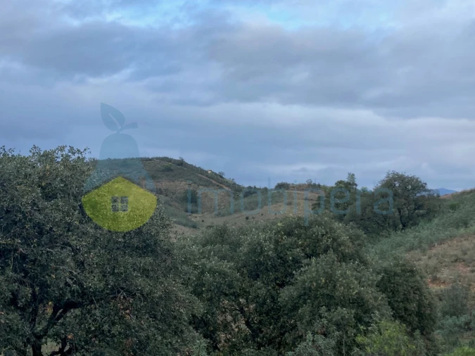 Terreno Agricola ou Rústico para Venda em São Bartolomeu de Messines Foto 7