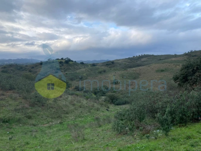 Terreno Agricola ou Rústico para Venda em São Bartolomeu de Messines Foto 8