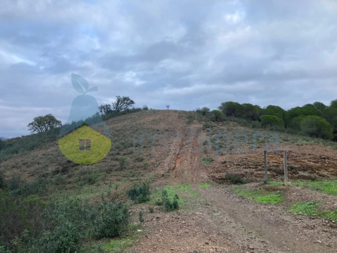 Terreno Agricola ou Rústico para Venda em São Bartolomeu de Messines Foto 10