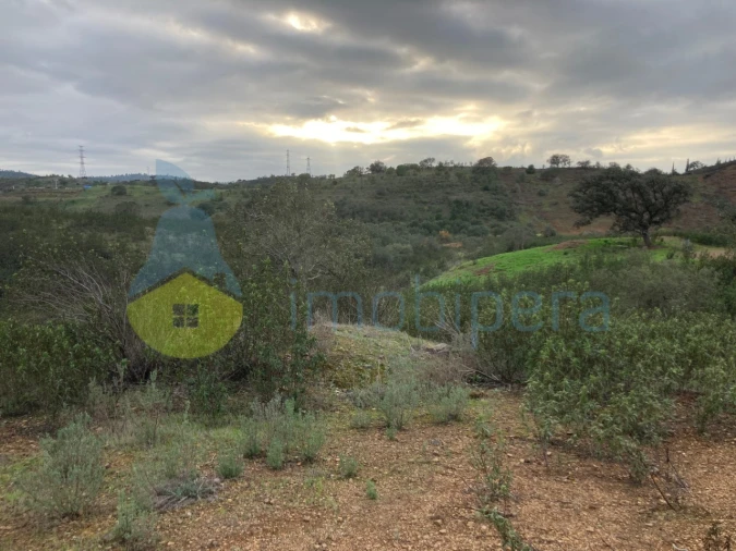 Terreno Agricola ou Rústico para Venda em São Bartolomeu de Messines Foto 14