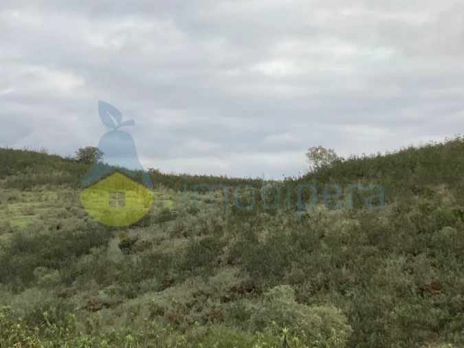 Terreno Agricola ou Rústico para Venda em São Bartolomeu de Messines Foto 16