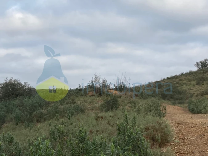 Terreno Agricola ou Rústico para Venda em São Bartolomeu de Messines Foto 18