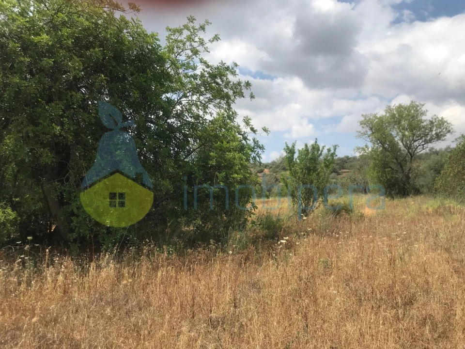 Terreno Agricola ou Rústico para Venda em São Bartolomeu de Messines Foto 1